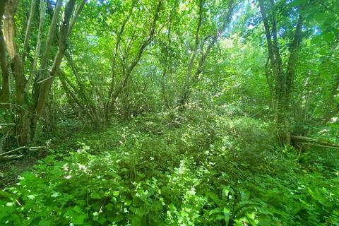 Land for sale, New Street Lane Loders,, Bridport