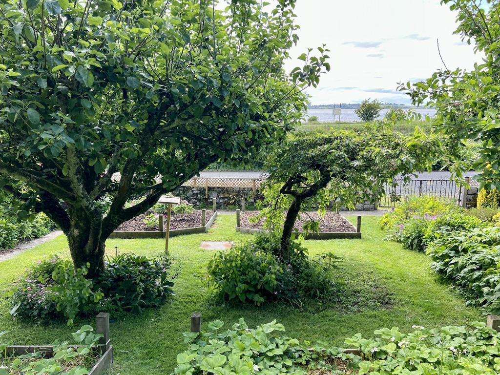 Soutar’s Croft, Carsluith, Newton Stewart - Will