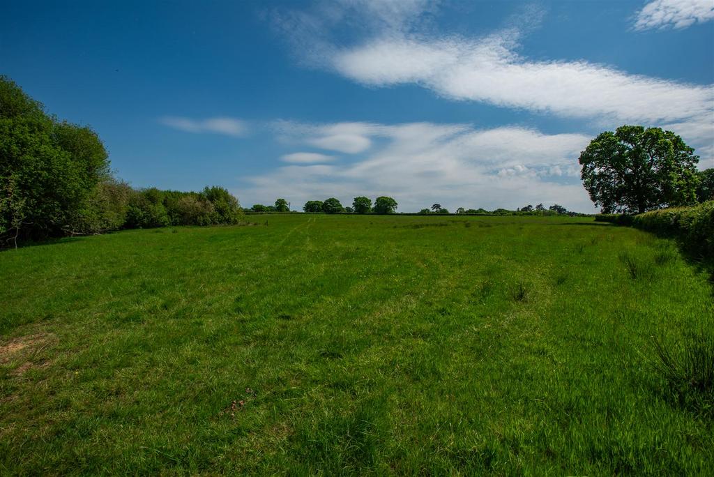 Lot 3