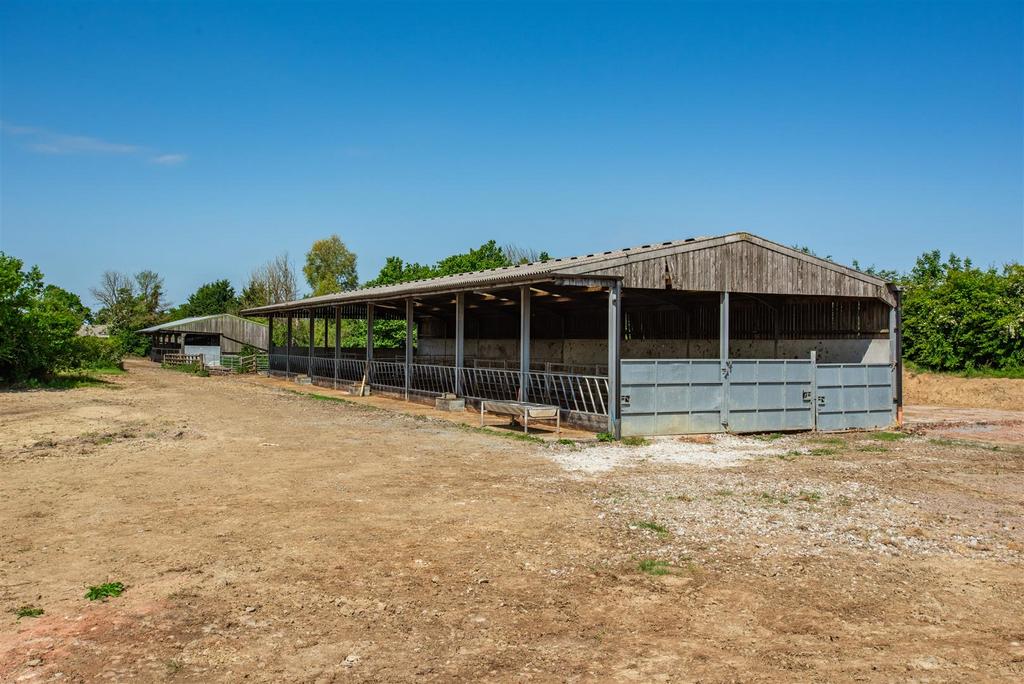 Lot 1