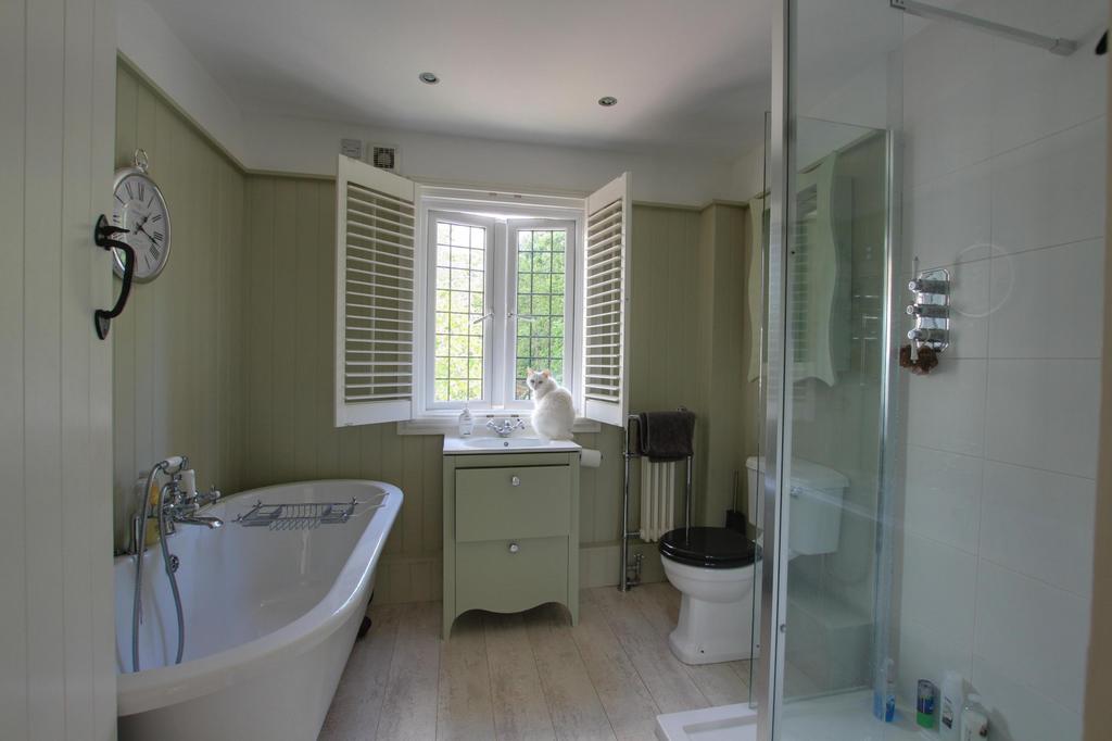 Bath shower room