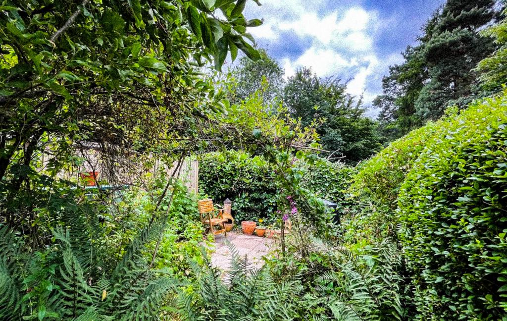 Back garden edited