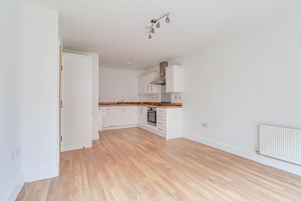 Kitchen/Dining/Living Room