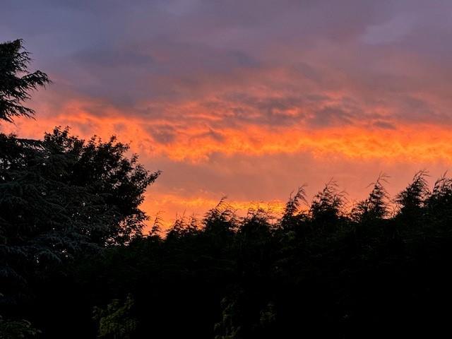 Sunset 3.jpg