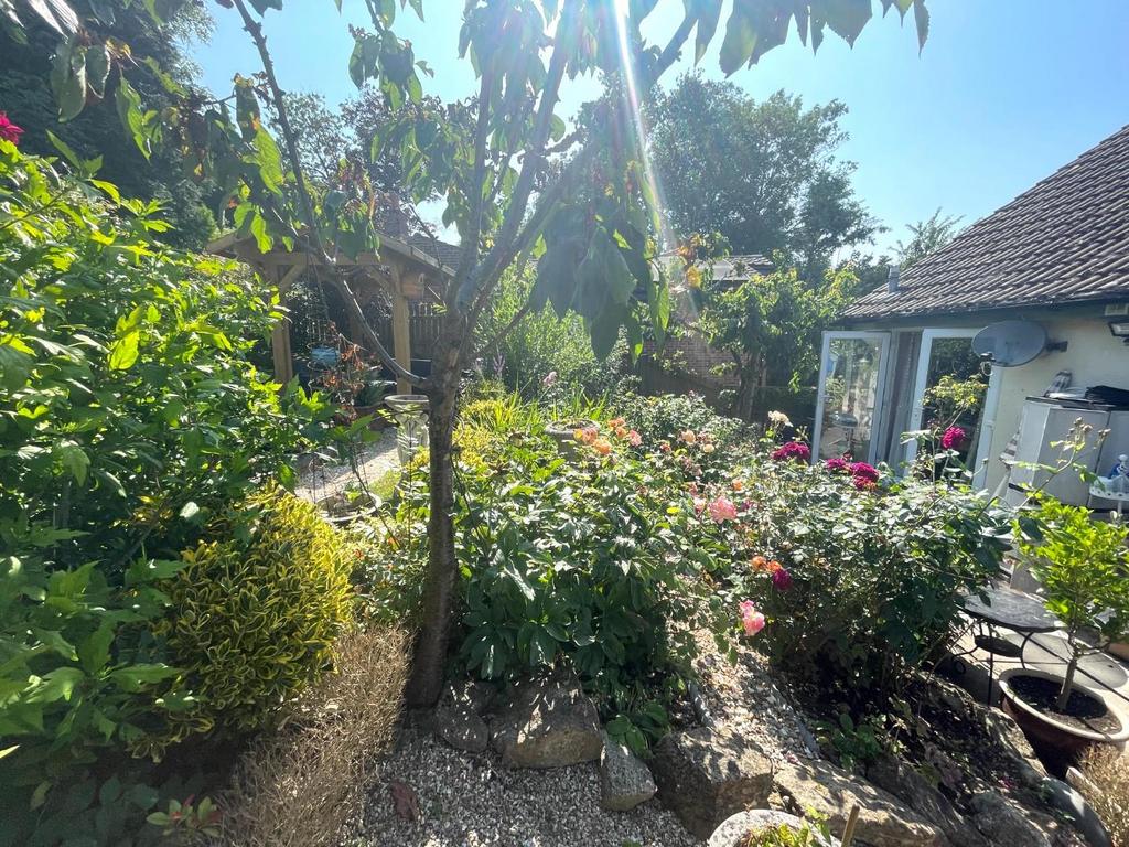 Garden.JPG