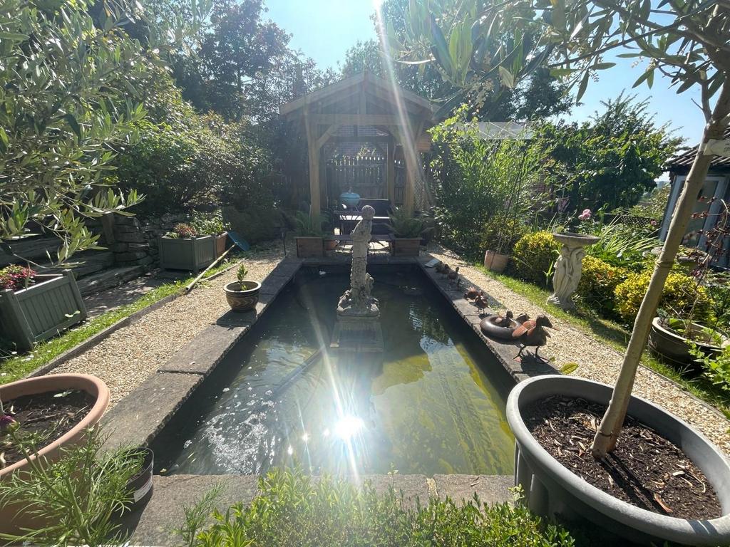 Pond.JPG