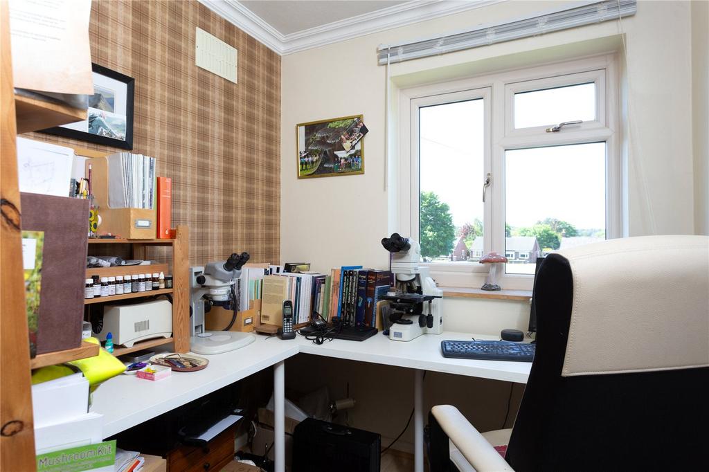 Photos