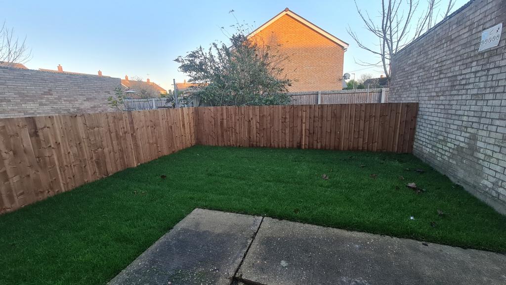 Garden shot 3