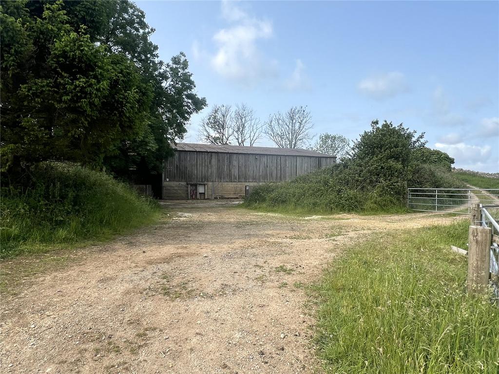 Picture 8