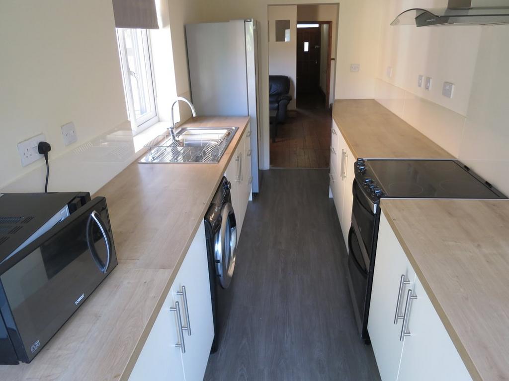 Bright, modern galley kitchen with ample counte...