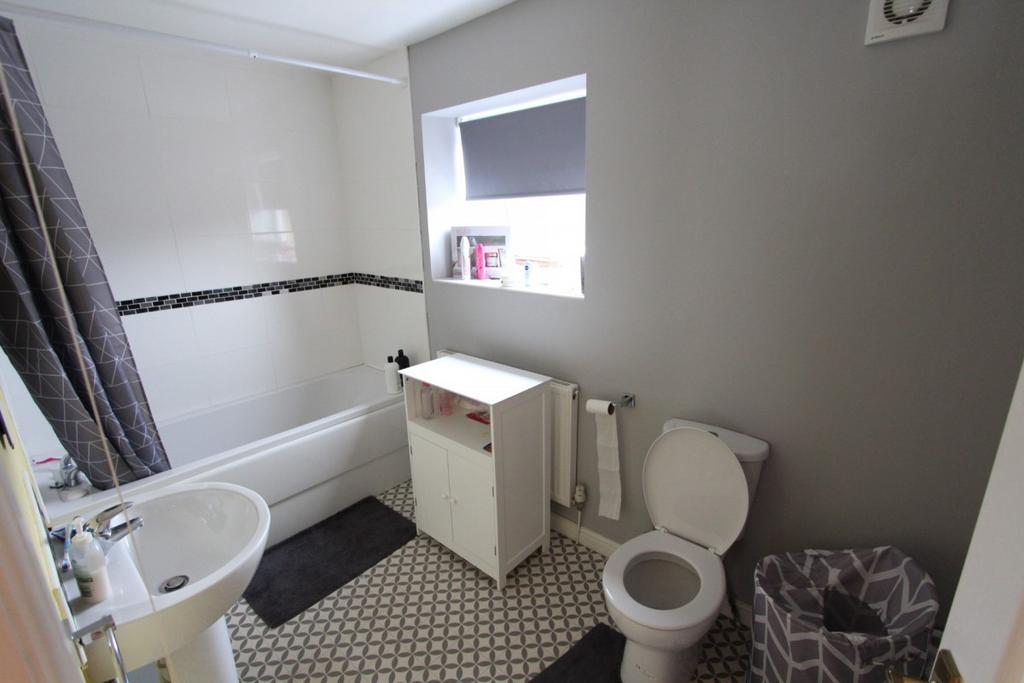 Picture 7