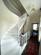 Additional image 9 of Inver House, Bogton Place, Forres, Morayshire