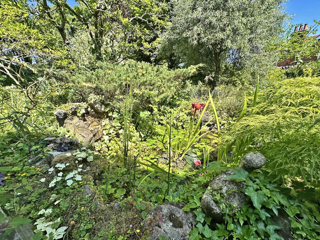Picture 41