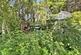 Additional image 32 of Brookley Road, Brockenhurst, Hampshire, SO42