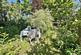 Additional image 37 of Brookley Road, Brockenhurst, Hampshire, SO42