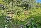 Additional image 41 of Brookley Road, Brockenhurst, Hampshire, SO42