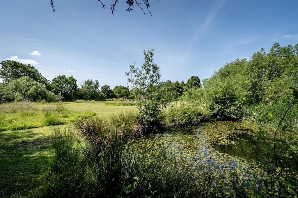 Pond