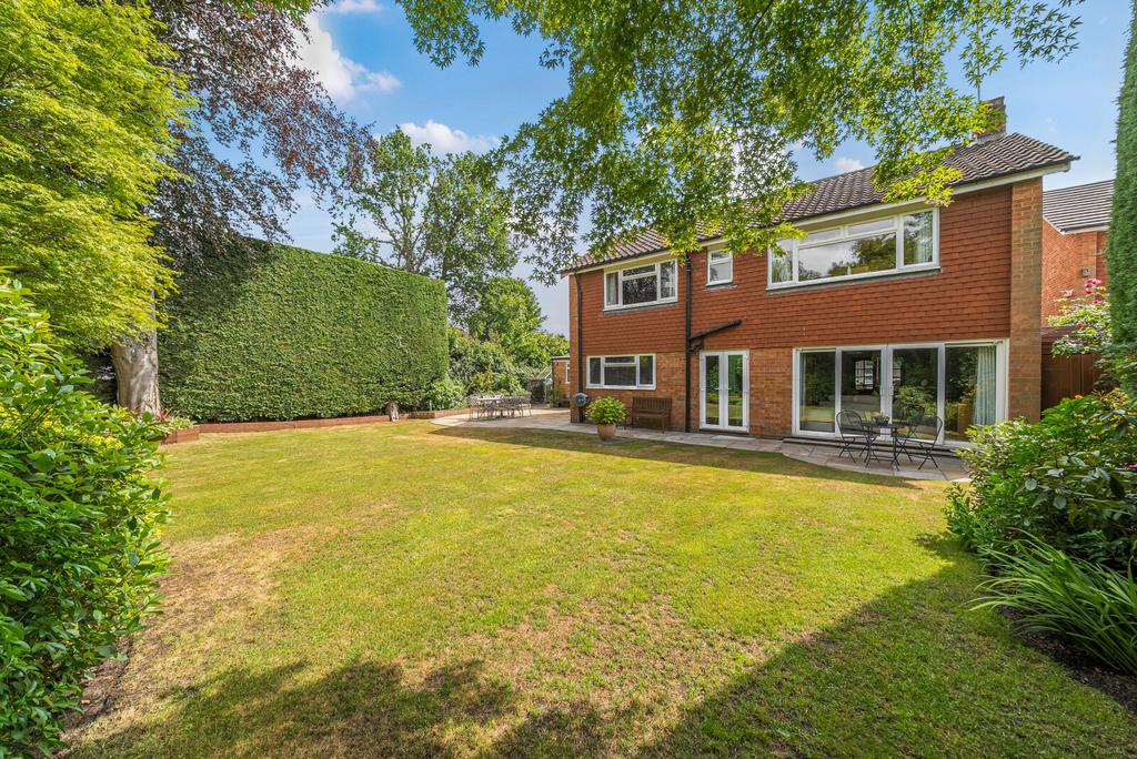 Picture 28