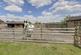 Additional image 4 of Horseshoe Lane, Chadderton, Greater Manchester - Outstanding, Detached Gated Residence ~10,000sqft, 1/2 Acre Plot