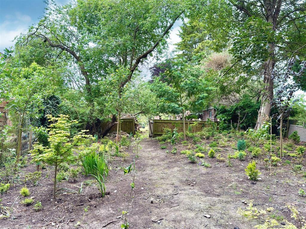 ORCHARD AREA.jpg