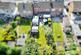Additional image 27 of Chesterfield Way, Barwell