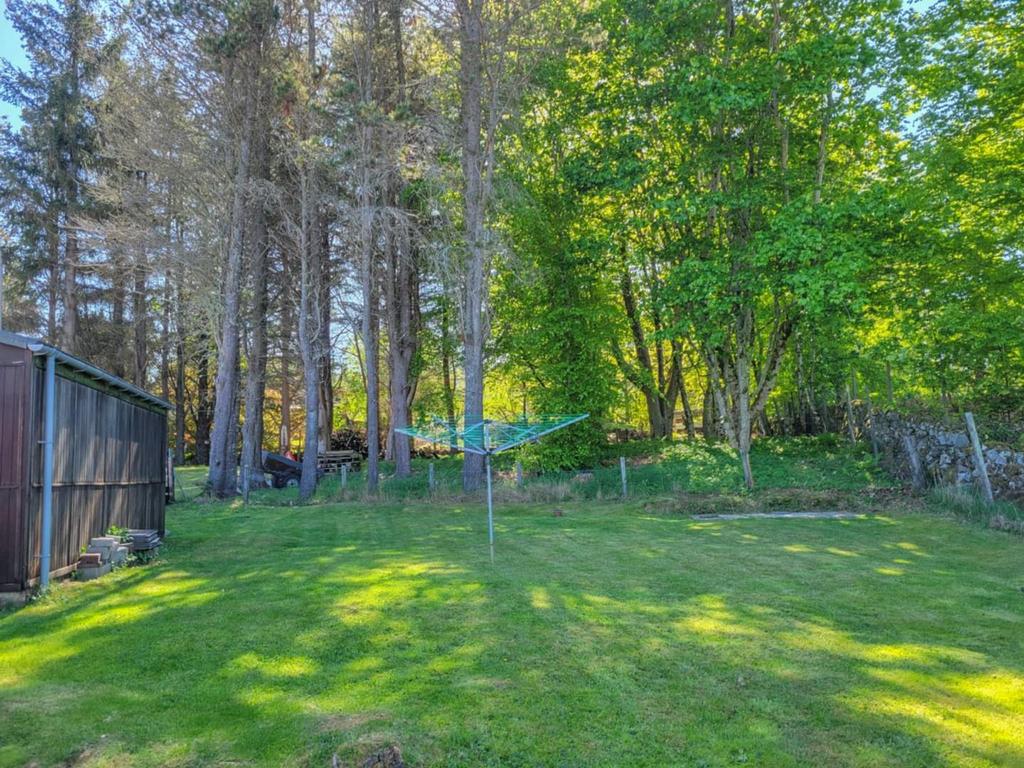 GARDEN.jpg