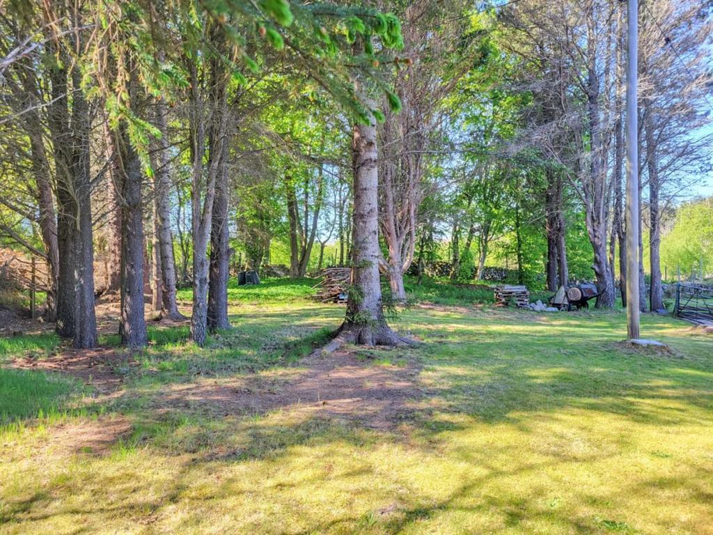 WOODLAND.jpg