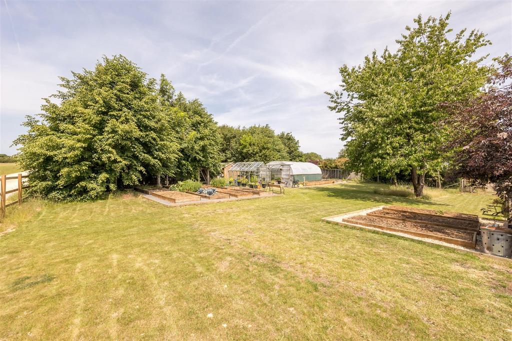 A serious kitchen garden
