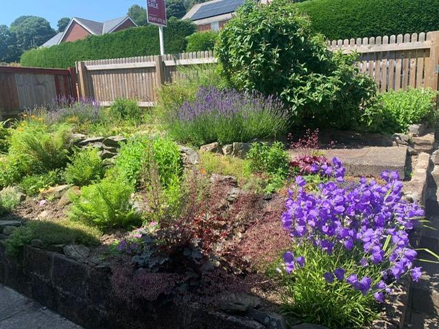 Front garden.jpeg