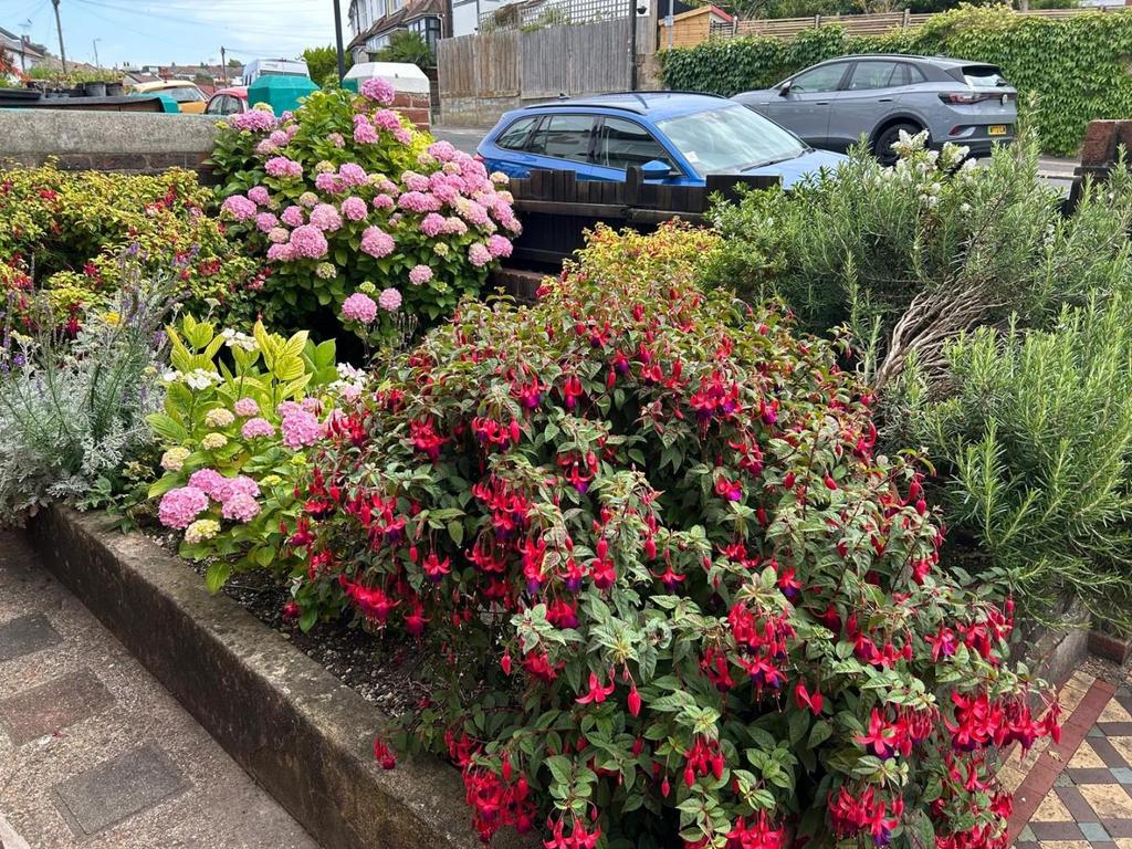 Front garden