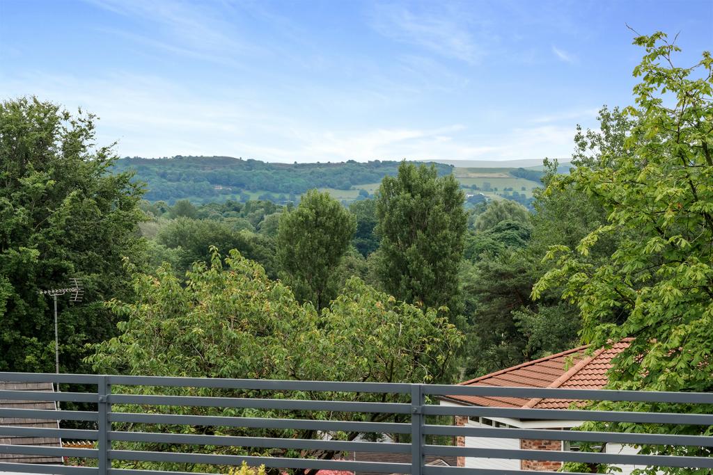 Terrace Views
