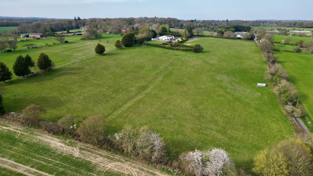 Rosa Maria Farm