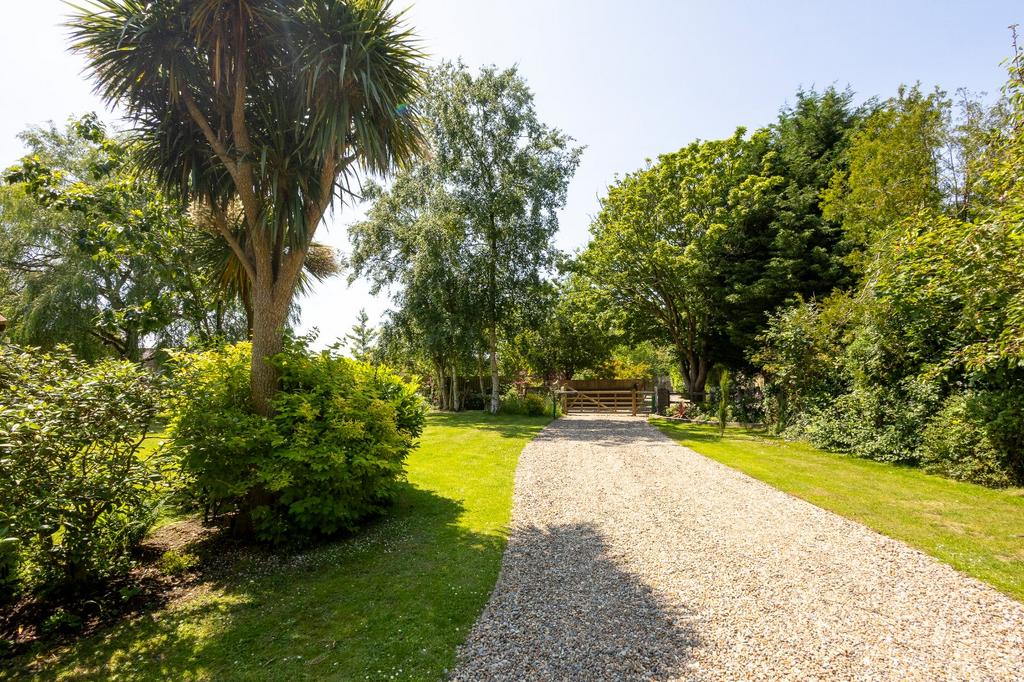 Driveway