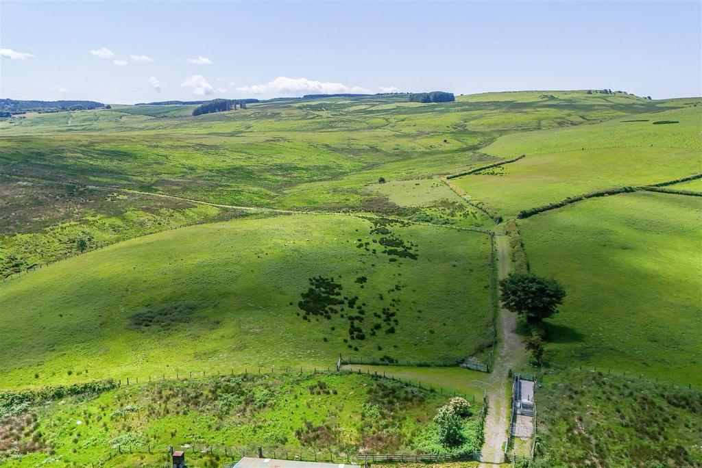 Land 3.jpg
