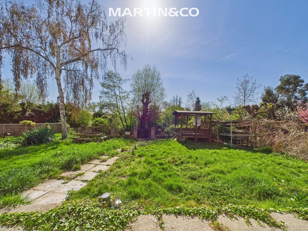 Garden view, garden