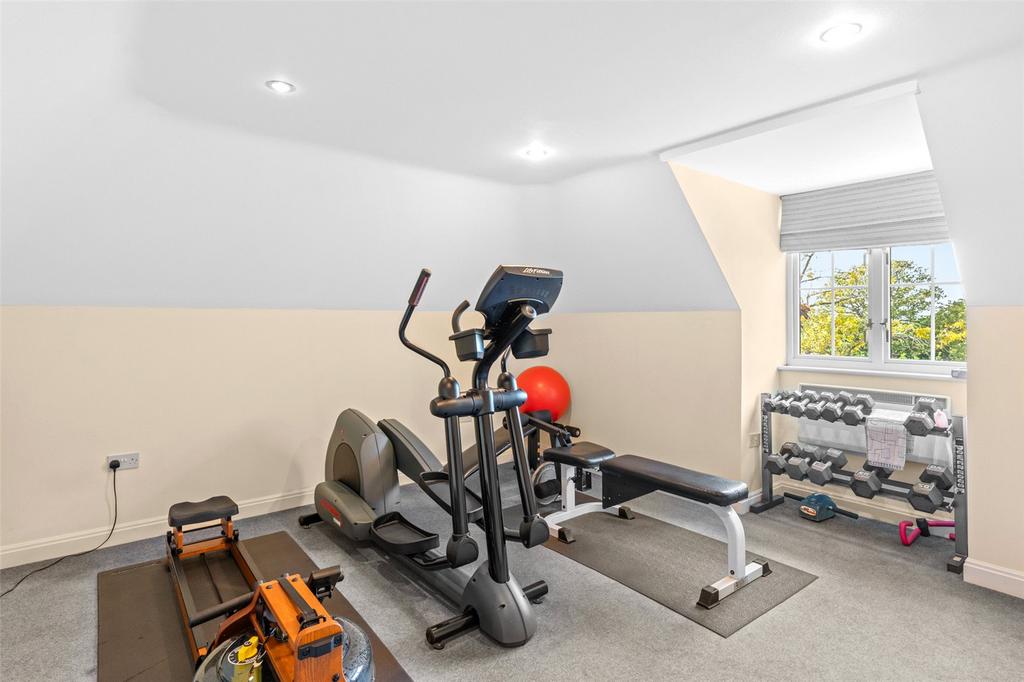 Bedroom/Gym