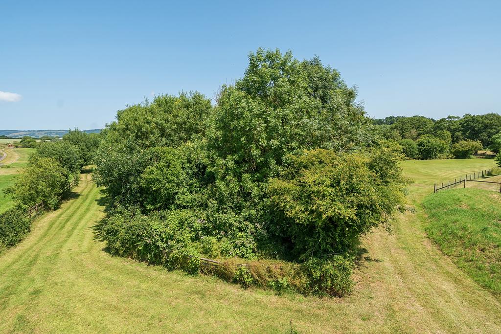 Communal Grounds
