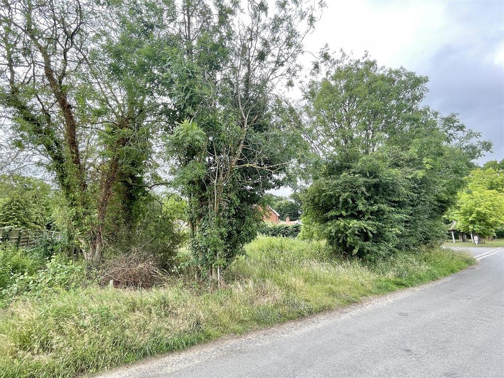 Plot from road