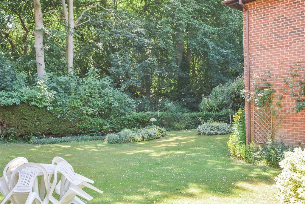 DSC 0337.jpg
