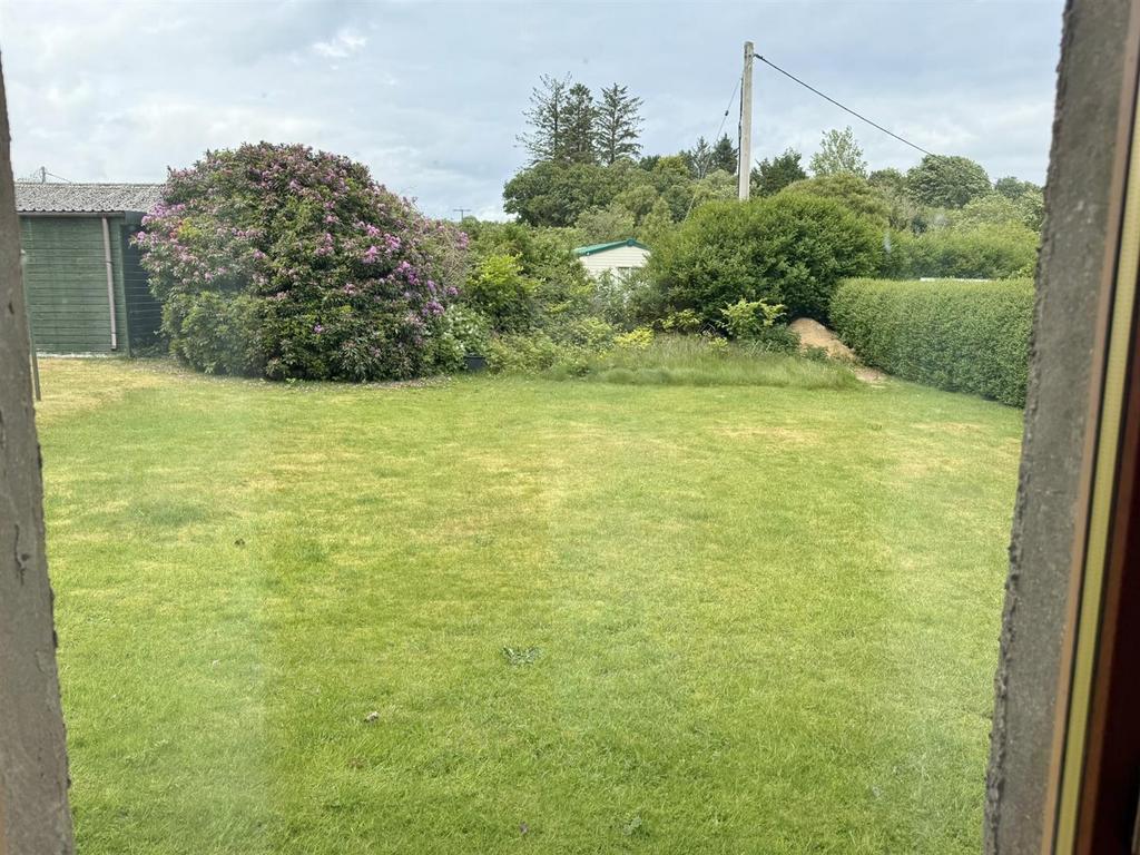 Rear garden from the study