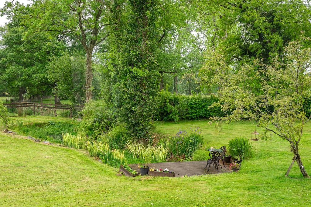 Pond
