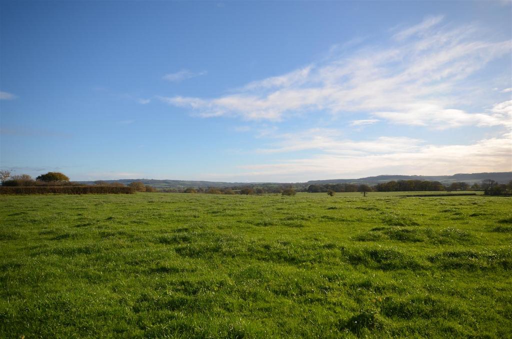 Country Side Views