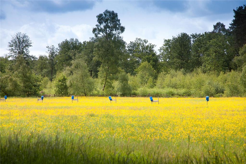 Farmland