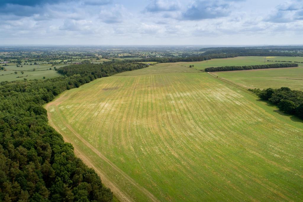 Farmland