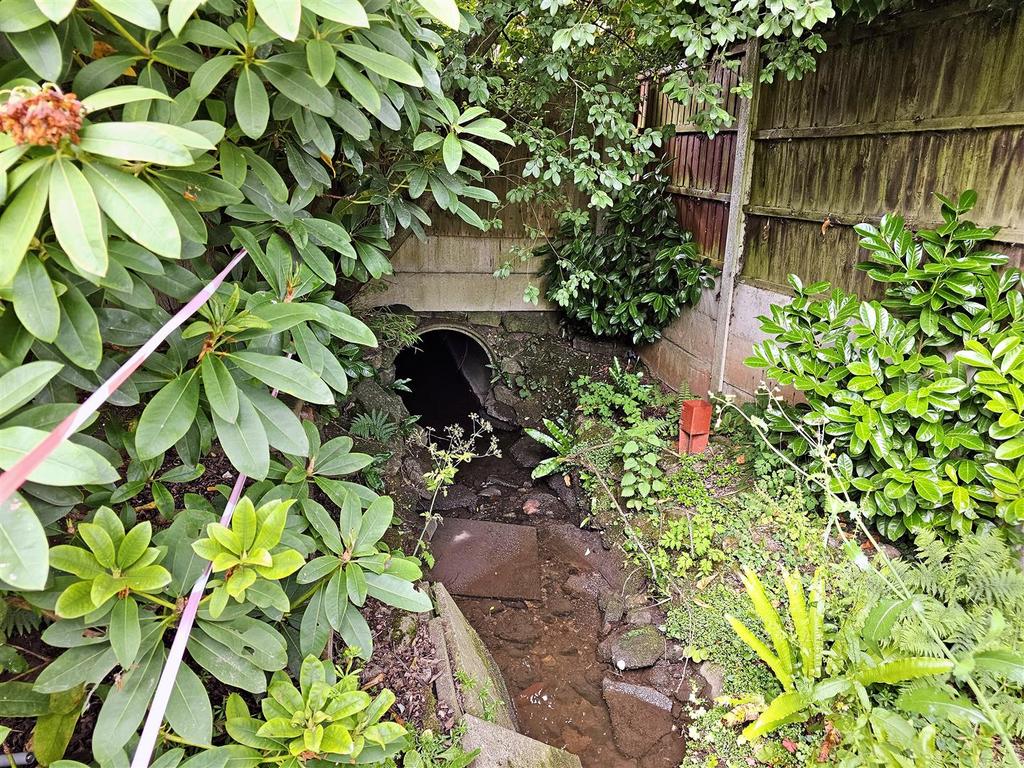 Stream