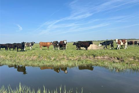 Land for sale, Grazing Marshes at Runham, Norfolk, NR30
