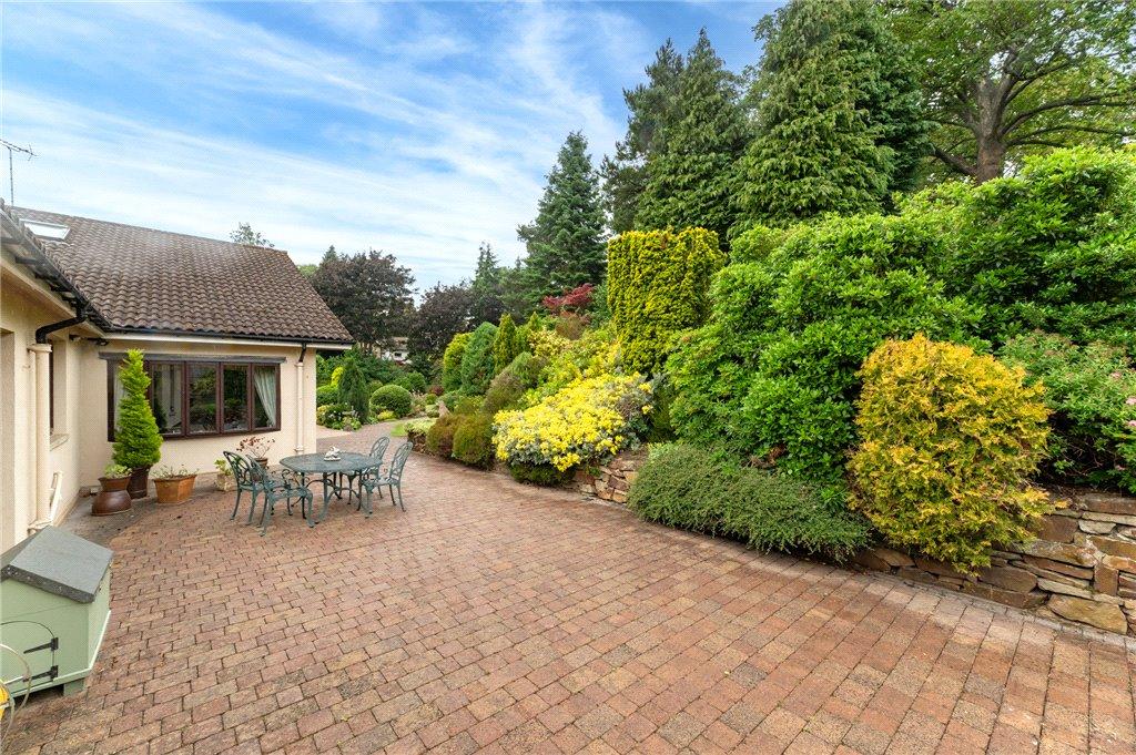 Patio Garden
