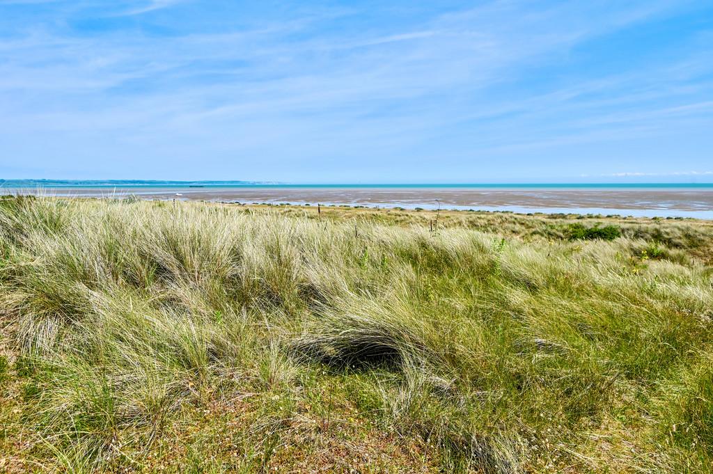 41 coast drive tn28 (17)