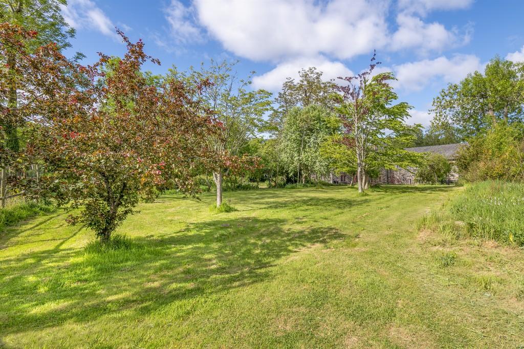 Orchard