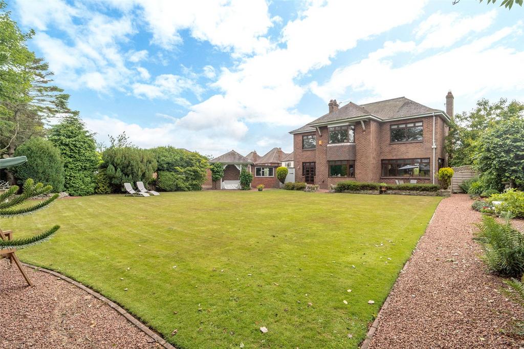 Back Garden